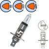 Ampoule 12V 55W H1 P14.5S