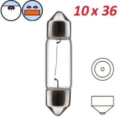 AMPOULE NAVETTE 6V 10W SV7 8 X 36 MM VOITURE MOTO SCOOTER VESPA PIAGGIO FEU ARRIERE STOP CLIGNOTANT LAMPE
